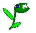 logo carnivore