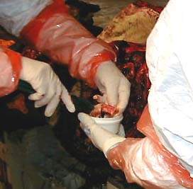 receuil pr&eacute;l&egrave;vement