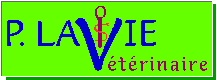 logo p.lavie