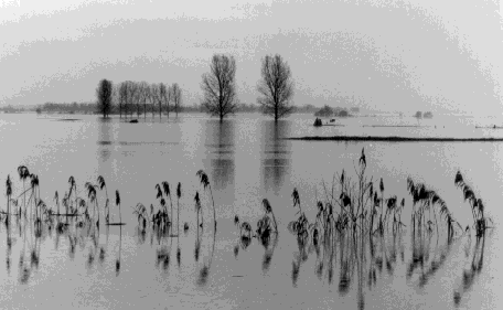 Inondations