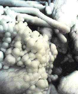 tapis glac&eacute;...