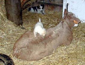 r&eacute;tablissement