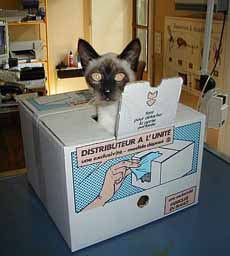 distributeur automatique de chatton !