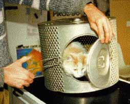 tambour &agrave; chat