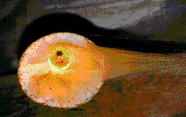 Lumi&egrave;re Tamis&eacute;e !