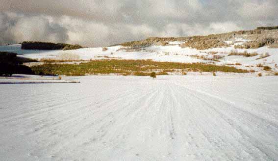marais limagne neige