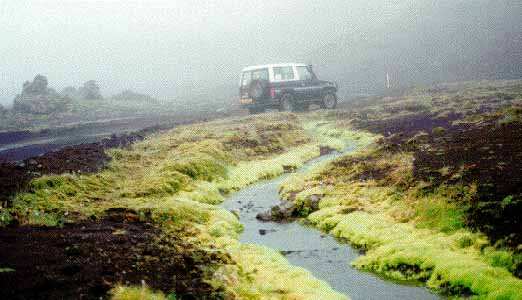 mousse fluo Lakagigar islande